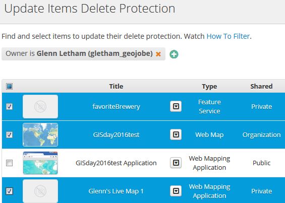 update items delete protection in arcgis online wit Admin tools
