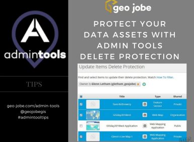 admin tool tips - protect your arcgis assets with delete protection