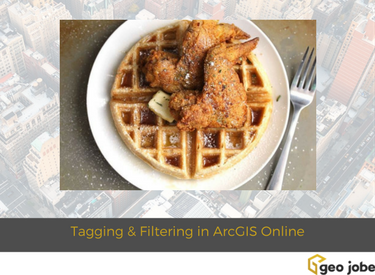 tagging and filtering in arcgis online