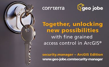security manager for ArcGIS