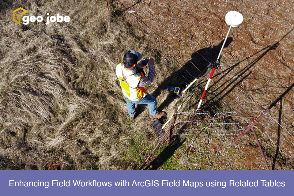 Enhancing Field Workflows with ArcGIS Field Maps using Related Tables