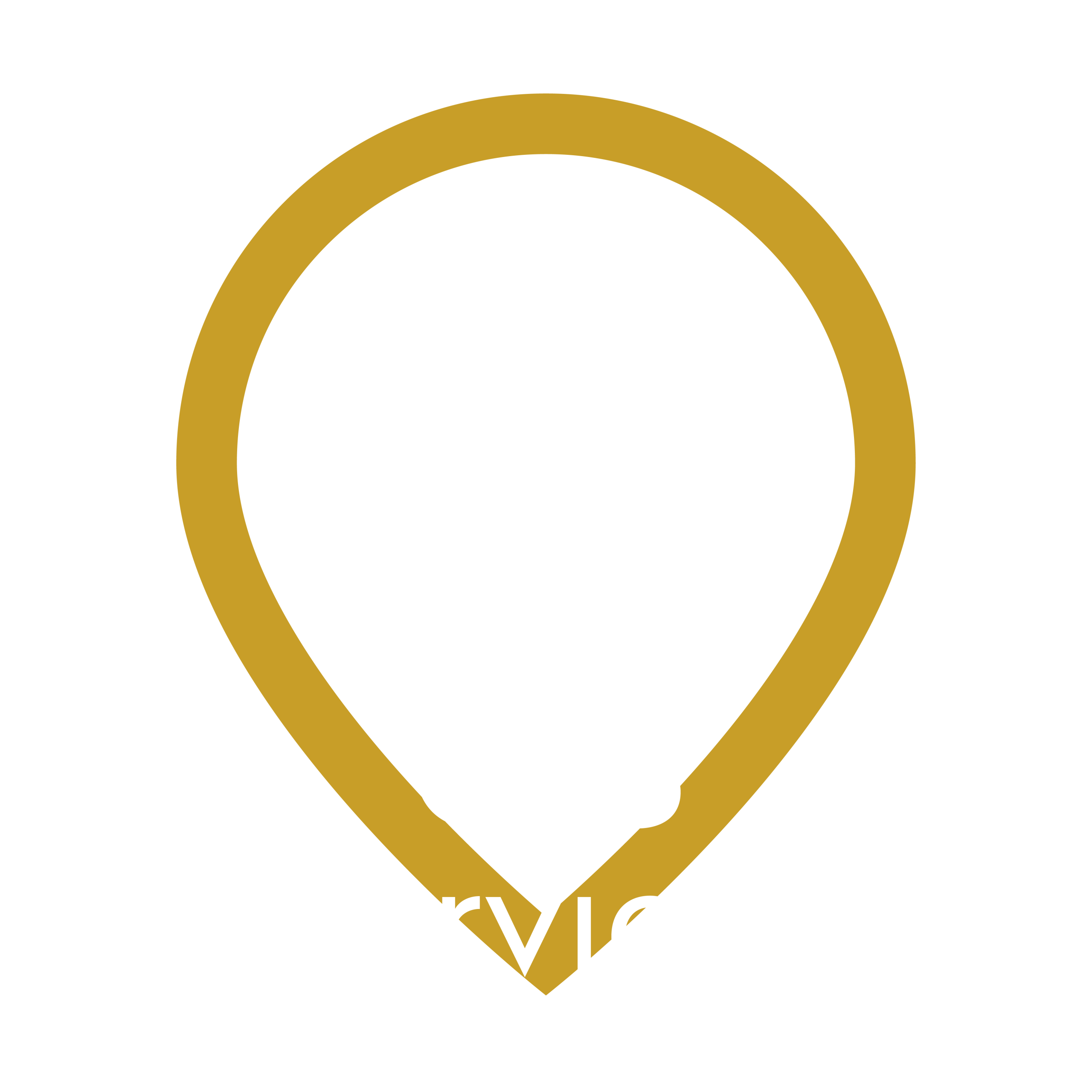 GIS Services Logo