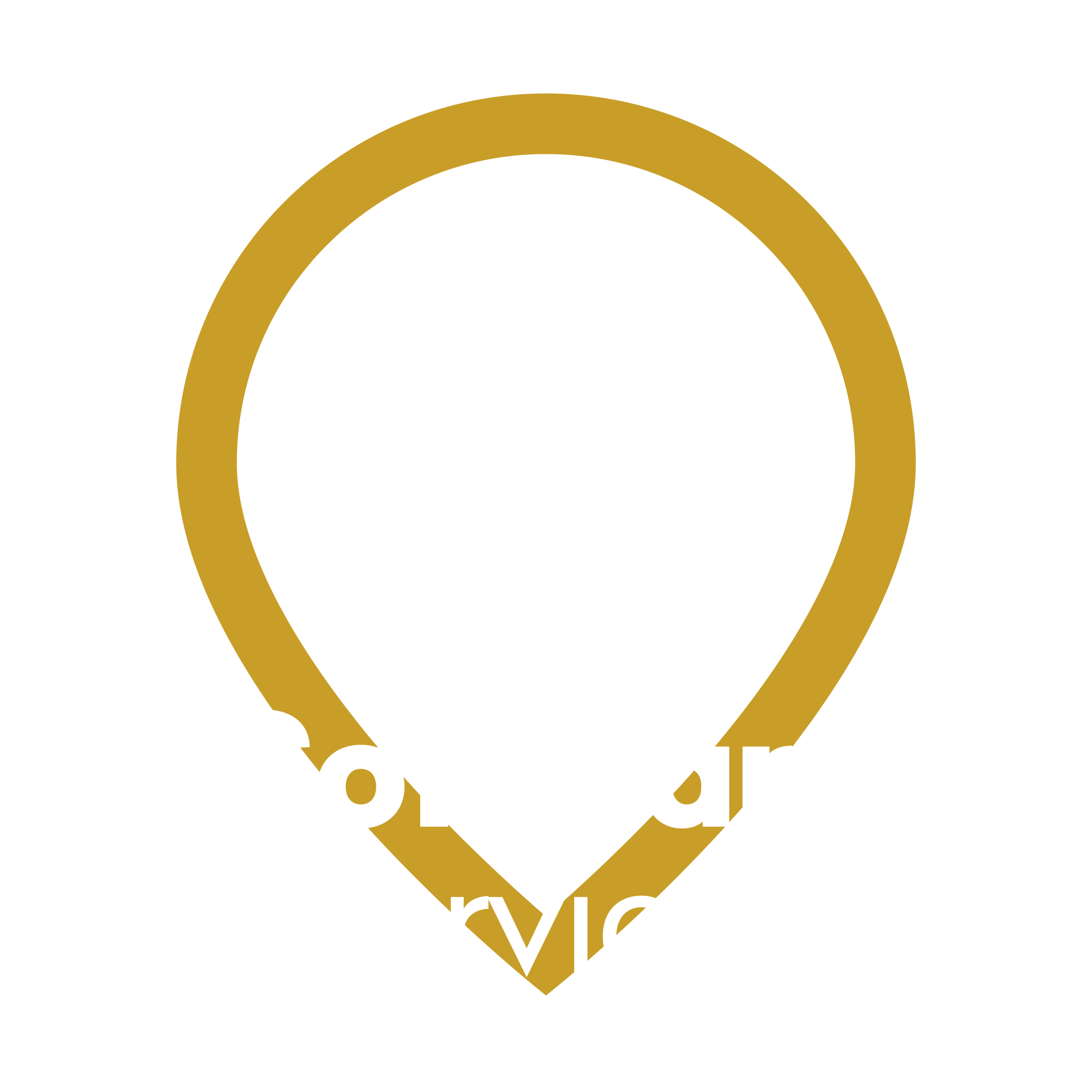 Software Services Logo