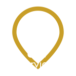 UAV Services Logo
