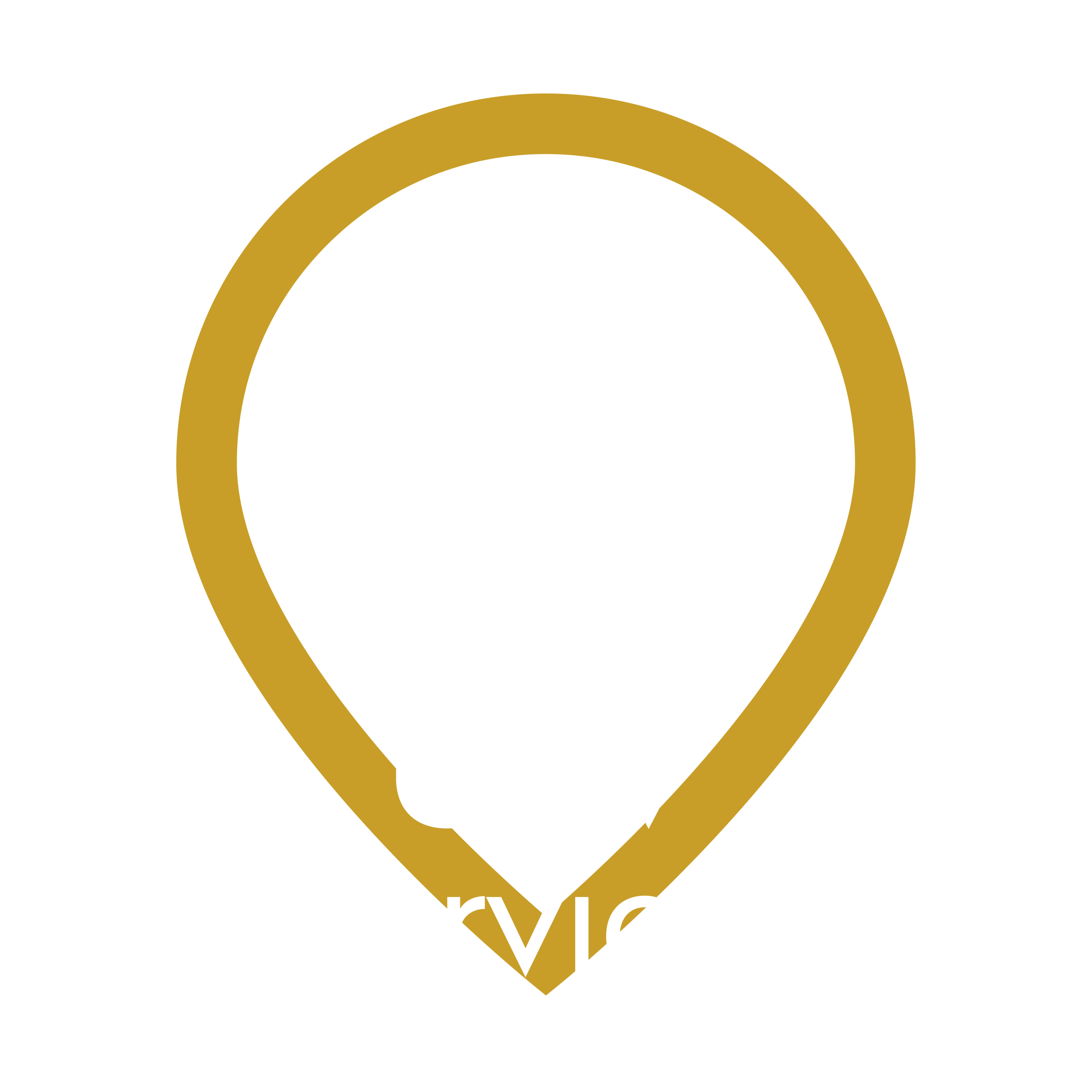 UAV Services Logo